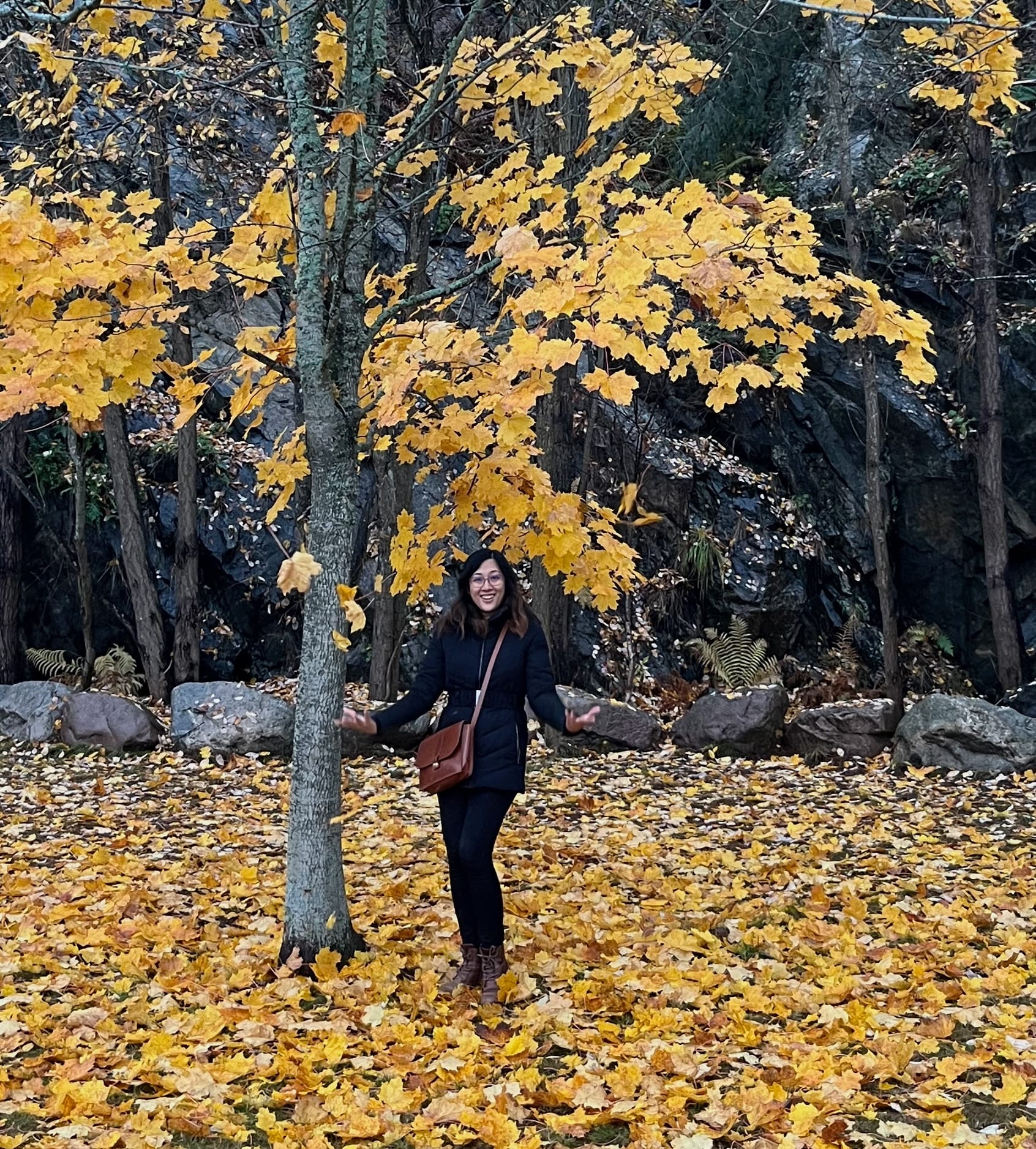 Me playing with autumn leaves in Nacka, Stockholm